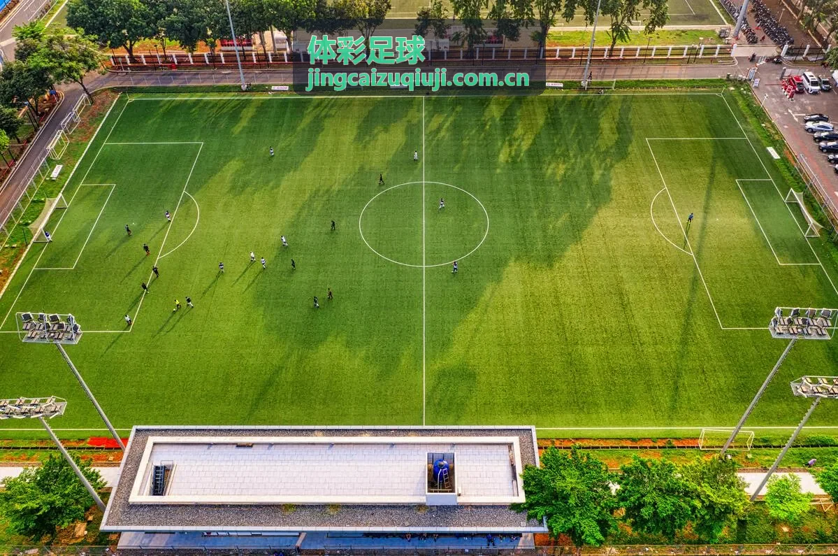 体彩足球新闻 - 智能预测模型升级